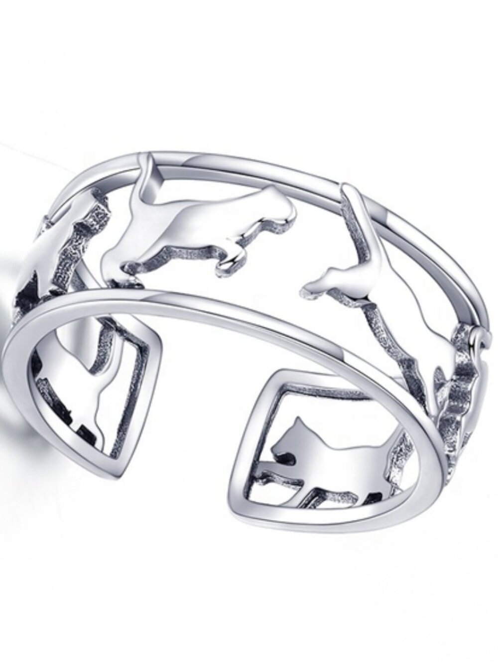 Cats in motion ring